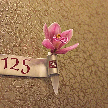 Caramell Premium Bük