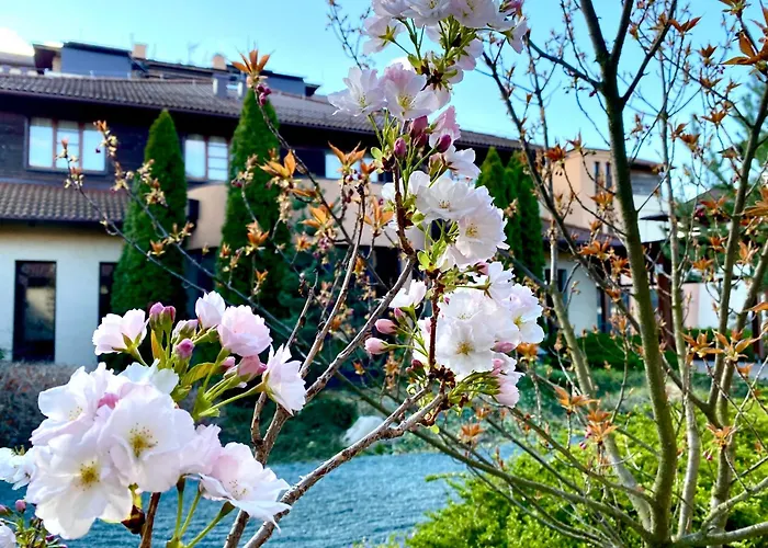 Caramell Premium Бюк