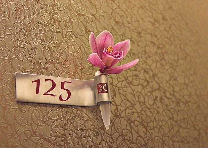 Caramell Premium Бюк